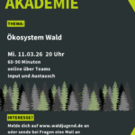 Waldjugendakademie - Ökosystem Wald