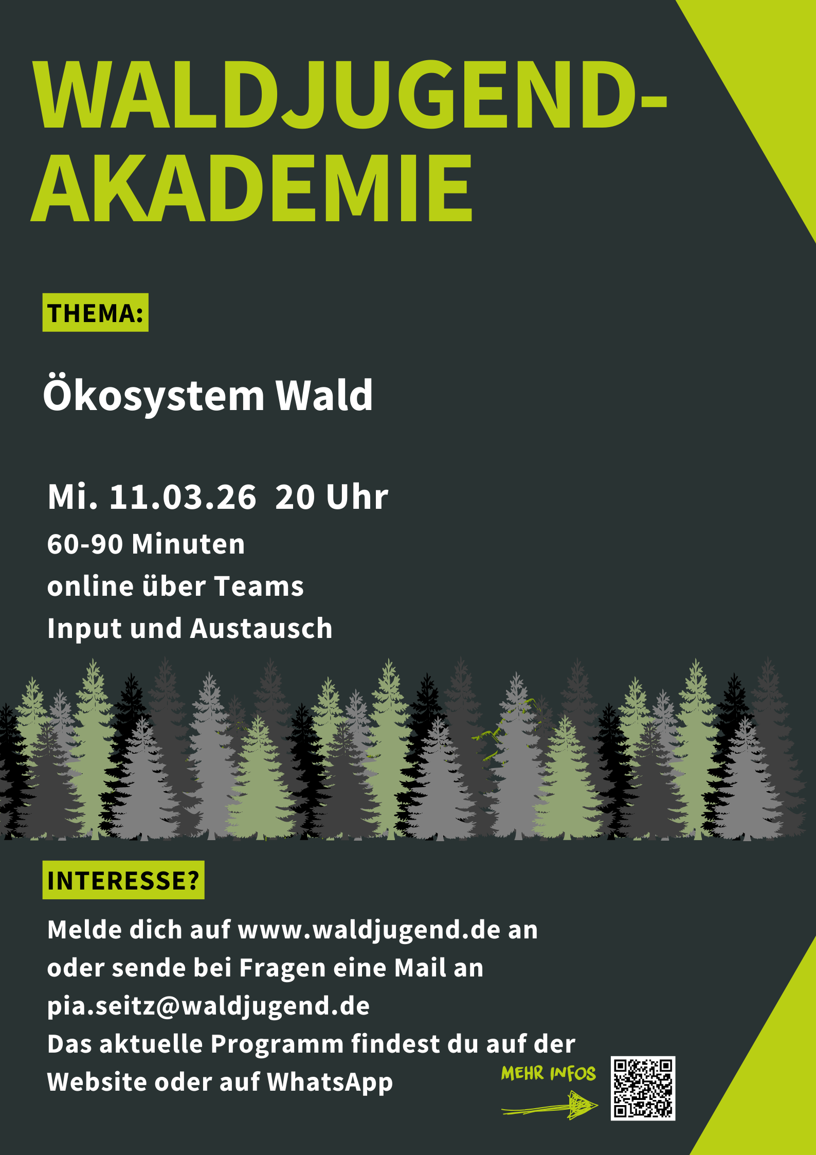 Waldjugendakademie - Ökosystem Wald