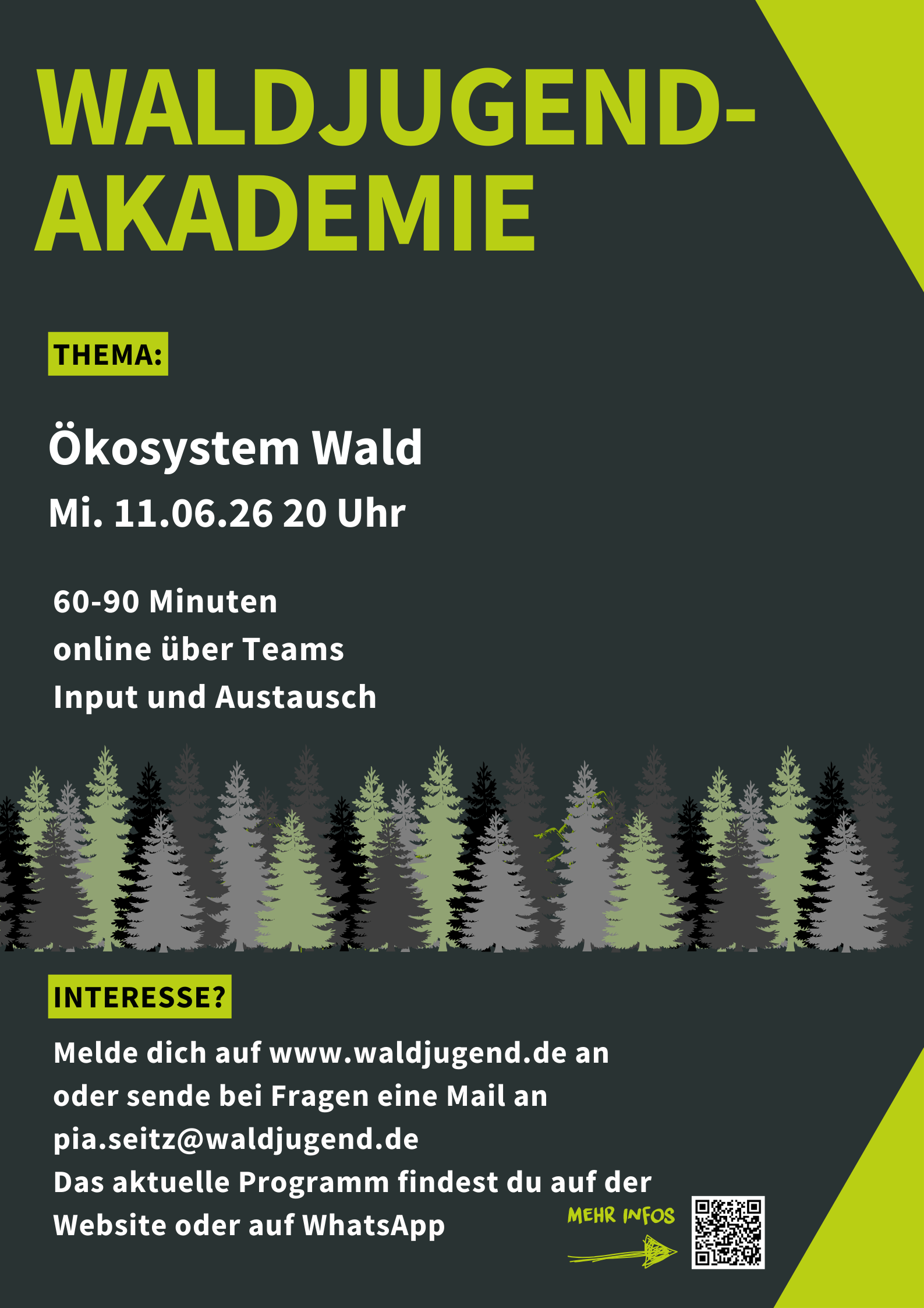Waldjugendakademie - Ökosystem Wald