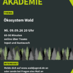 Waldjugendakademie - Ökosystem Wald