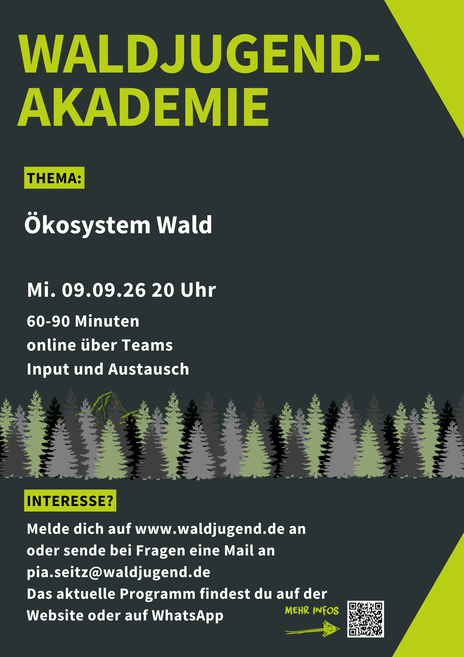 Waldjugendakademie - Ökosystem Wald