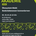 Waldjugendakademie - Ökosystem Wald