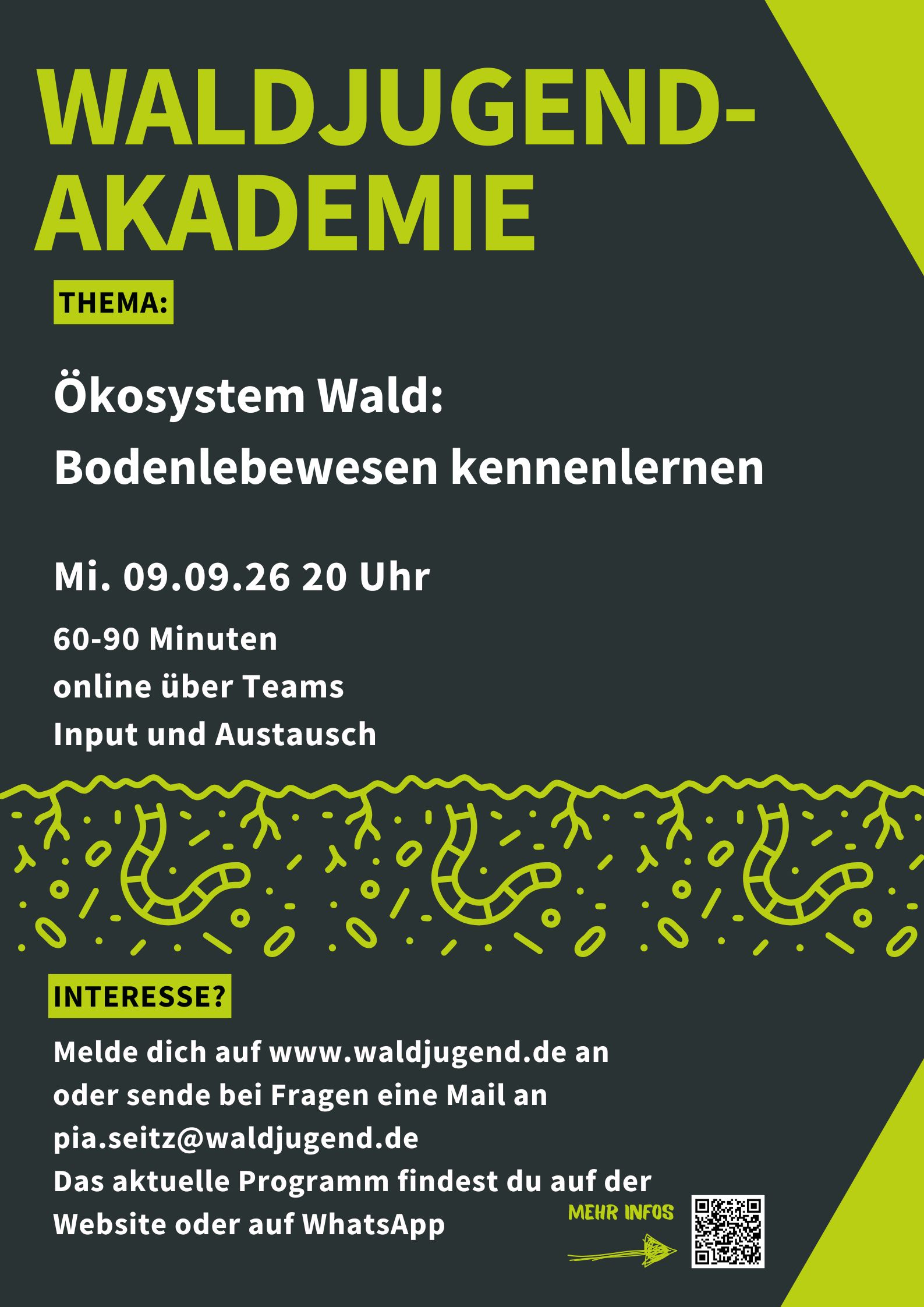 Waldjugendakademie - Ökosystem Wald